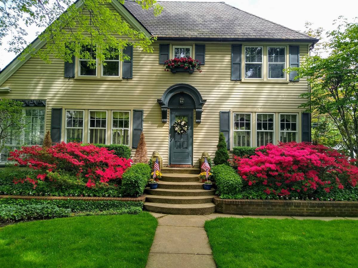 Bright red Azaleas (Rhododendron) flowering in the springtime. This home is in the Ford Historic Homes district in Dearborn, Michigan, USA . Pastel yellow house with green shutters. This house is over 100 years old.