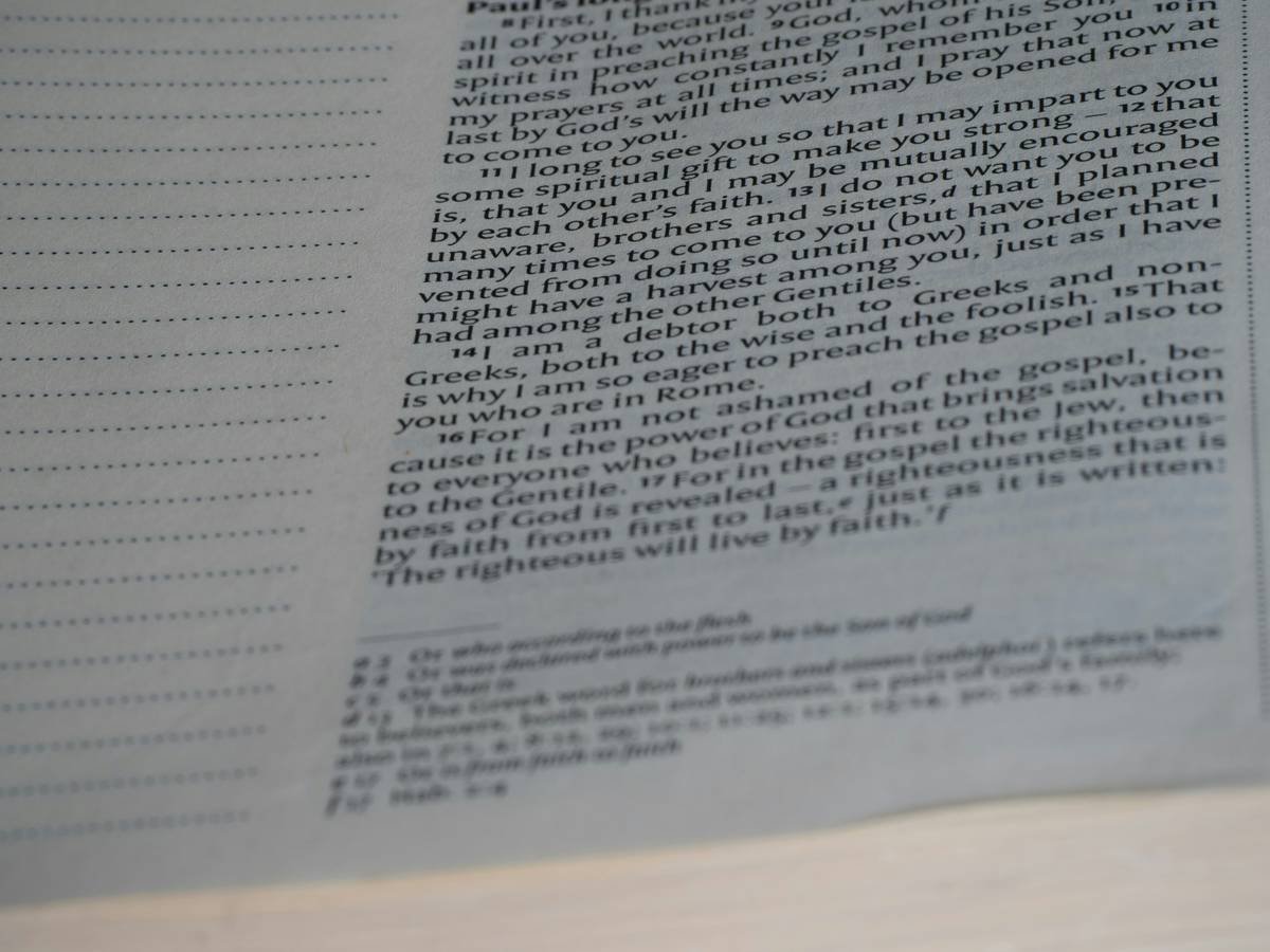 close up, bokeh, bible, new testament, christian, history, text, reading, bible study, devotions, christianity, scripture, romans, paul, grace, epistle, systematic theology, faith, law, salvation, gospel, sin,
